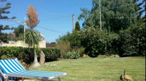 Отель Villa Giardino Arenella  Аренелла